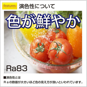 照明 瀧住 タキズミ LED ペンダントライト RV60049 洋風 6畳用