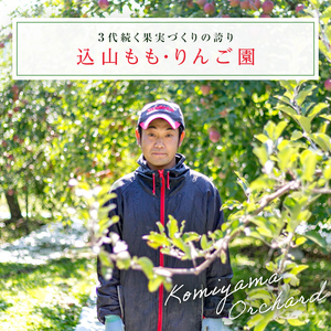 ＜先行予約＞福島県産 甘くてジューシー 桃 あかつき 3kg （9玉～12玉） もも フルーツ 果物 F6Q-353