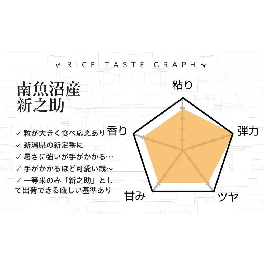 【令和8年産新米予約】精米10kg 南魚沼産新之助（5kg×2袋）・農家直送_AG【銘柄米 ブランド米 精米 新之助 魚沼産 新潟米 産地直送 お米 米 こめ コメ ご飯 御飯 ごはん】【令和8年10月中旬から1ヶ月以内に順次発送予定予定】