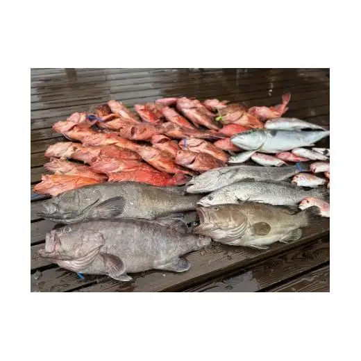 【 釣り船 】 釣り船貸し切り
