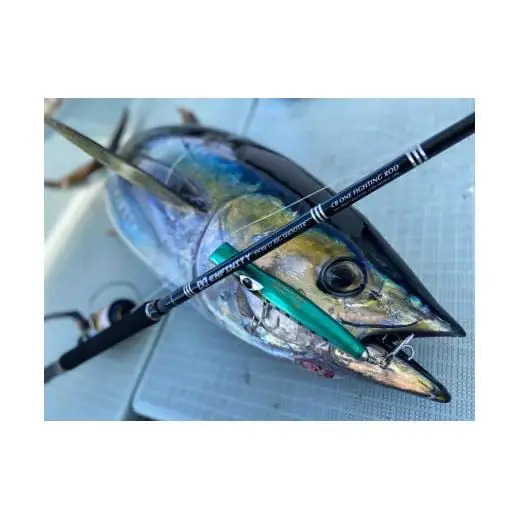 【 釣り船 】 釣り船貸し切り