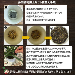 E102 培養土　【植え替え土セット】　多肉植物の土