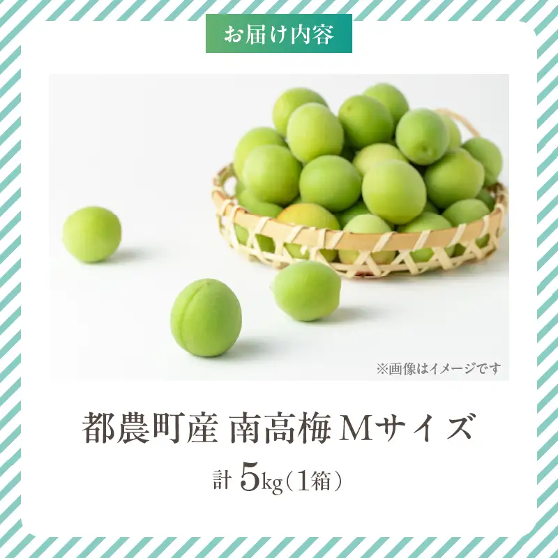 先行予約≪期間限定≫都農町産「南高梅(Mサイズ)」計5kg 梅 梅干し 果物 国産_T008-011