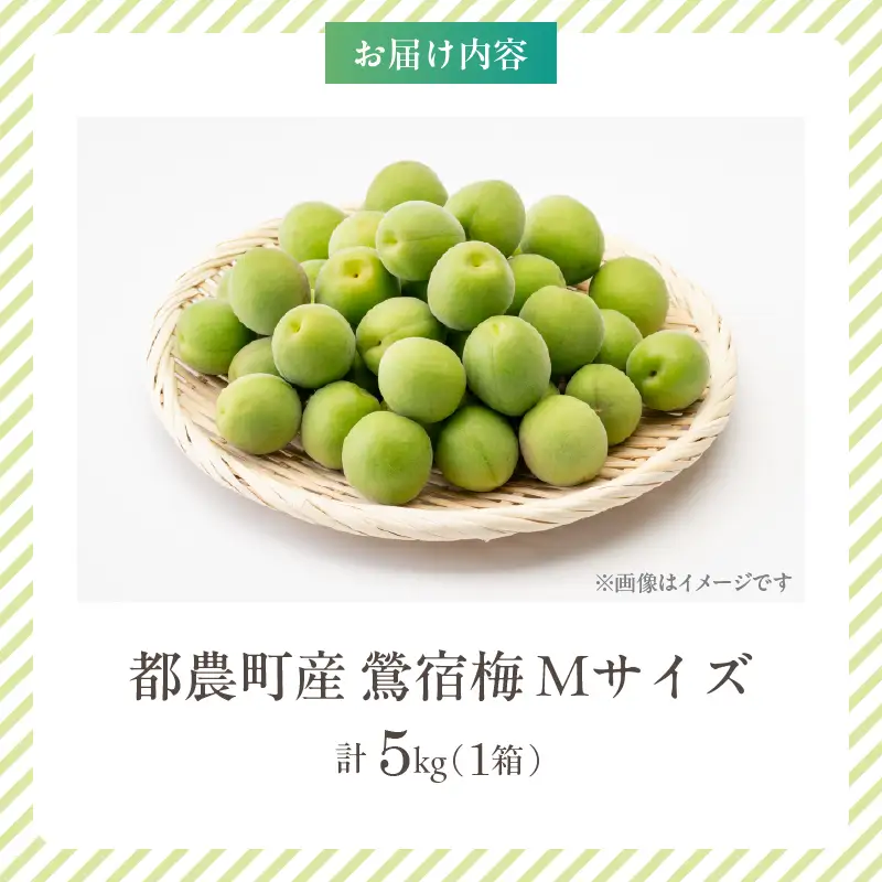 先行予約≪期間限定≫都農町産「鶯宿梅(Mサイズ)」計5kg 梅 梅干し 果物 国産_T008-013