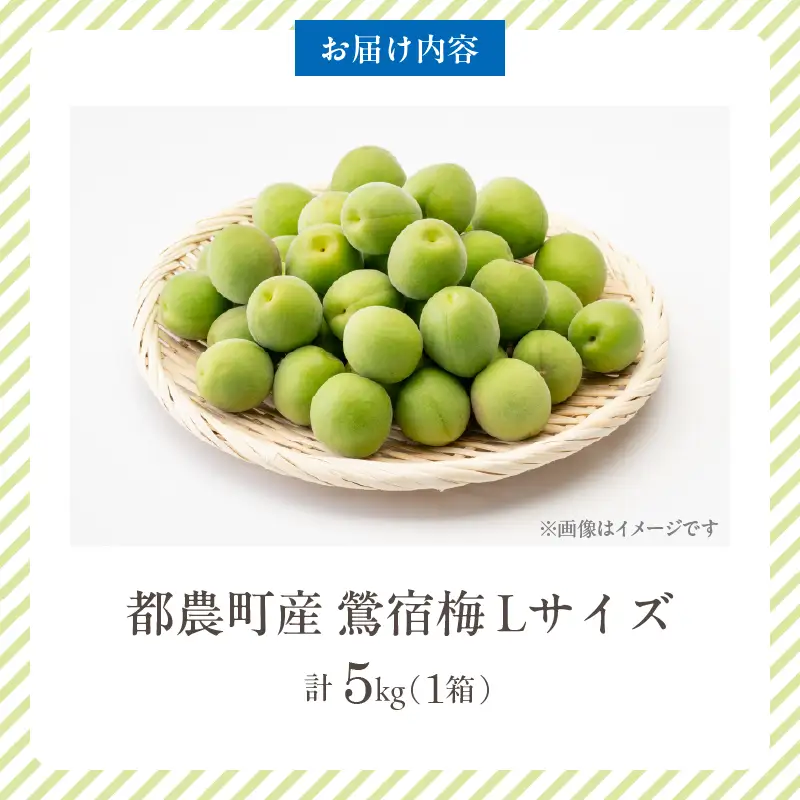 先行予約≪期間限定≫都農町産「鶯宿梅(Lサイズ)」計5kg 梅 梅干し 果物 国産_T008-014