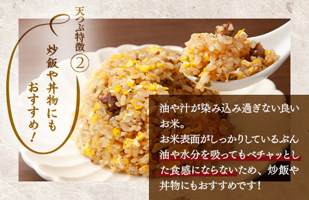 【令和8年産】【全3回定期便】米　国見町産　天のつぶ 10㎏(5㎏×2袋)　3回定期便 ※2026年10月～発送