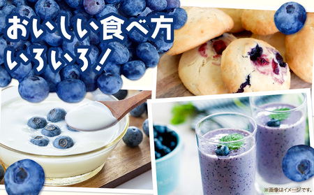 訳あり 数量限定 ブルーベリー 1kg ブルーベリー