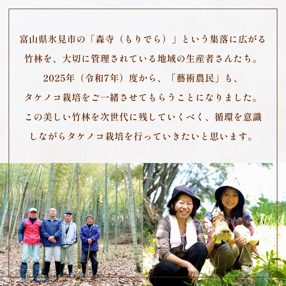  天然タケノコ 2kg 朝掘り 採れたて筍発送 富山県産 ＜農薬・化学肥料・除草剤不使用＞
