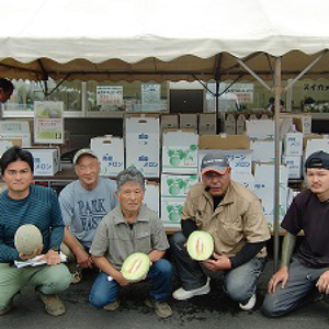 【先行予約】メロン 4L～5L 2～3玉 約5.5kg ｜阿見グリーンメロン 茨城県 化粧箱入り 贈答 自分用 数量 限定 希少 品種（04-29）