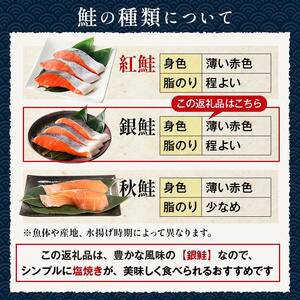 旨味抜群!! 甘塩銀鮭 半身 8切! ふるさと納税 鮭 さけ しゃけ シャケ おかず 魚 F4F-8186