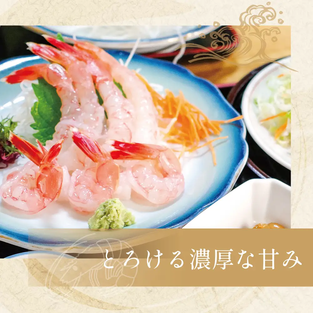 【数量限定】鹿児島県産 天然たかえび（生食用） 約1kg ［Mサイズ］ 薩摩甘エビ ヒゲナガエビ 刺身 海鮮 海老 海鮮丼 塩焼き 冷凍 丸航丸 南さつま市 野間池