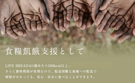 LIFEBREAD 20本 110g サクセム株式会社《30日以内に出荷予定(土日祝除く)》和歌山県 紀の川市 防災備蓄 賞味期限5年以上 ライフブレッド ブレッド