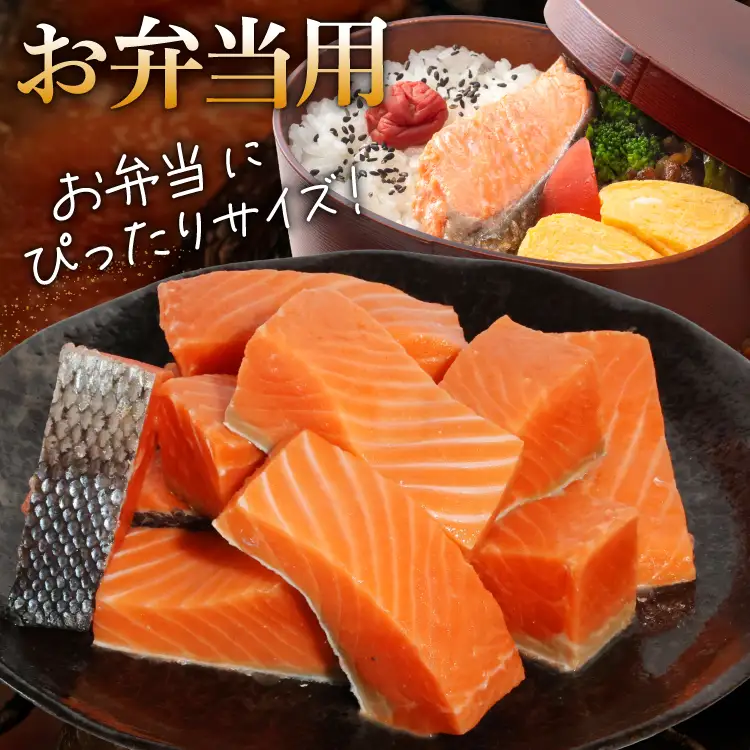 訳あり 無添加 サーモン 【お弁当用】 切身 骨取り 無塩 1.5kg バラ入れ 大袋 [足利本店 宮城県 気仙沼市 20565153]