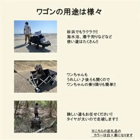 アウトドアワゴン ピクニCAR WHITE×BLACK【1353182】