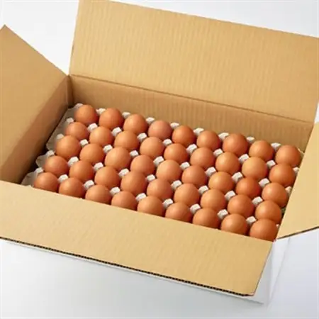 大分生まれのAW飼い有精卵「豊の米卵」90個入り_卵・乳製品 卵  たまご タマゴ 玉子_【配送不可地域：離島】【1610935】