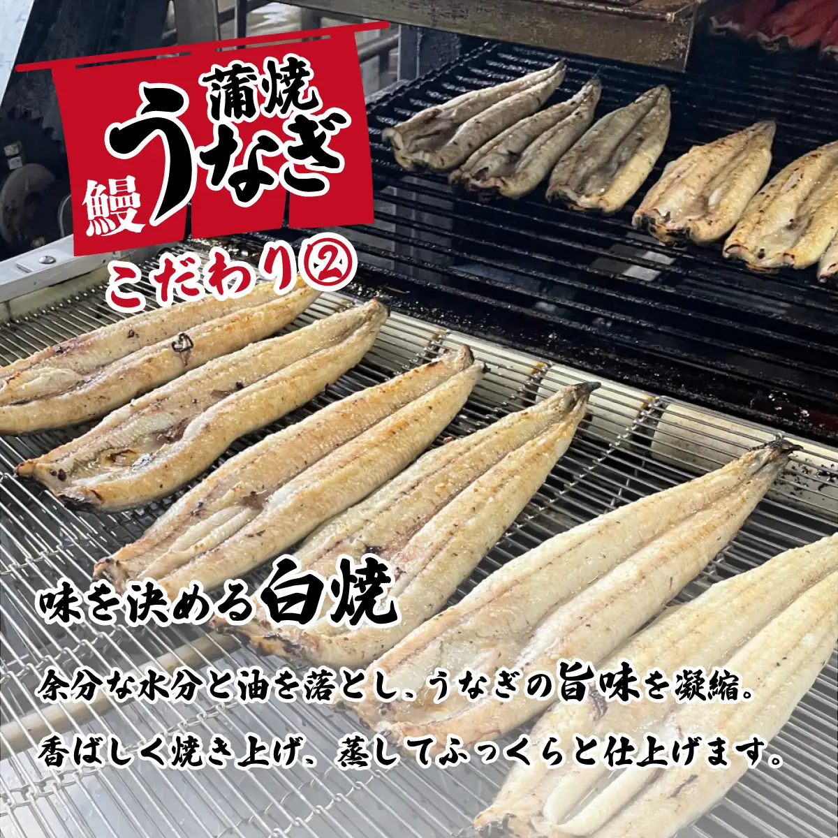 うなぎ 国産 特上 ウなぎ 蒲焼き 2尾 570g以上 ウナギ 化粧箱 父の日