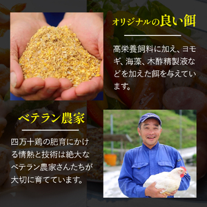 ★銘柄鶏四万十鶏★ チキンスティック400g 簡単揚げるだけ♪／Adf-73 チキン チキン チキン チキン チキン チキン