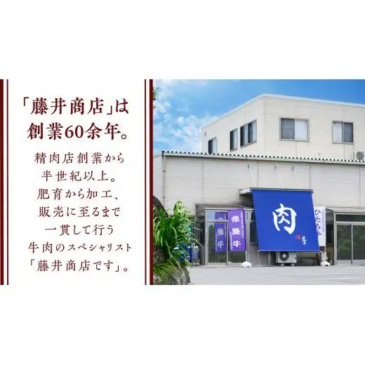 【常陸牛特選A5】ヒレステーキ 250g×2枚 (500g) ( 茨城県共通返礼品 )