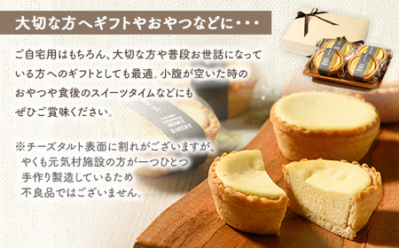 八雲チーズタルト　60g×24個入 ※沖縄・離島への配送不可