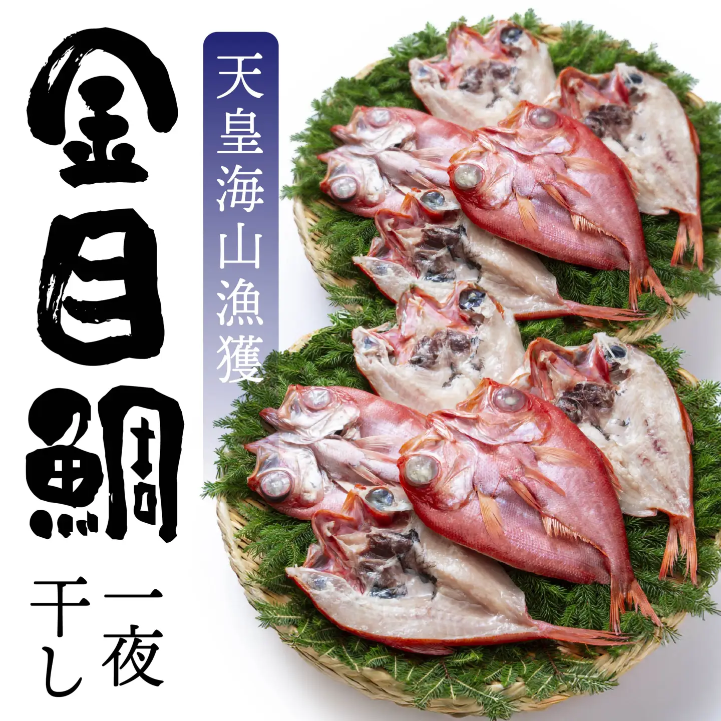 天皇海山漁獲 八戸産 金目鯛一夜干し 10枚セット