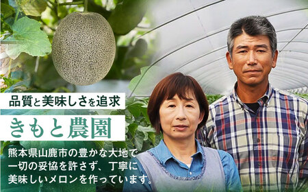 【先行予約】  山鹿の恵み! 匠の育てた　肥後グリーン メロン 約4kg以上（約2kg以上×2玉）【きもと農園】[ZFQ001]