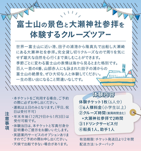 クルージング 大瀬神社コース 体験チケット 6人 クルーズツアー 土日のみ 年末年始受付可能 富士山の壮大な景色 雄大な自然 田子の浦港 隆真丸 完全貸し切り 一生の思い出 静岡県 富士市 [sf001-185]