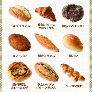 bloomおたのしみ冷凍パンBセット＜ ロデヴ入り＞ (合計8個)国産小麦 国産米粉 高加水 朝食 数量限定 モーニング おやつ 惣菜 菓子パン ベーカリー 冷凍 冷凍パン 非常食 常備食 防災＜離島配送不可＞【ksg1674-B】【小さなパンの家 bloom】