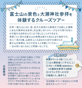 クルージング 大瀬神社コース 体験チケット 12人 クルーズツアー 土日のみ 年末年始受付可能 富士山の壮大な景色 雄大な自然 田子の浦港 隆真丸 完全貸し切り 一生の思い出 静岡県 富士市 [sf001-191]