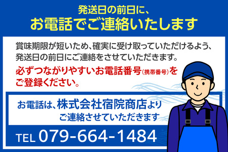 《先行予約》 訳あり 茹で 松葉がに 3枚 冷凍 【令和9年1月下旬以降発送予定】カニ かに 33-38