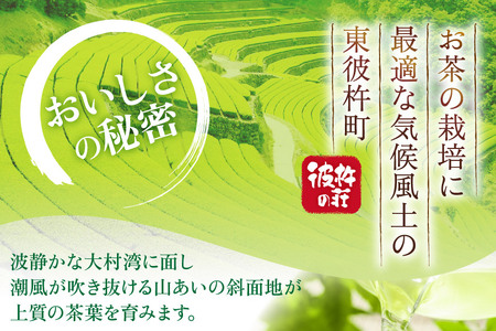 茶 お茶 緑茶 長崎 そのぎ茶 彼杵茶 玉緑茶 アルミボトル 490ml 24本 [彼杵の荘 長崎県 東彼杵町 hs42bag270046]