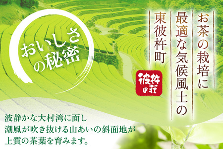 茶 お茶 緑茶 長崎 そのぎ茶 定期便 毎月 彼杵茶 玉緑茶 アルミボトル 490ml 24本 3回 総計72本 [彼杵の荘 長崎県 東彼杵町 hs42bag270048]