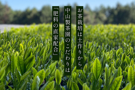 お茶 緑茶 【第73回全国茶品評会 蒸し製玉緑茶 農林水産大臣賞受賞】そのぎ茶（特上）華の香 100g 1袋 総計100g [中山製茶園 長崎県 東彼杵町 hs42bag620003]