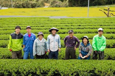 そのぎ茶 緑茶 そのぎ茶《茶縁》「つゆひかり」100g 2袋入 [東坂こくまる商店 長崎県 東彼杵町 hs42bag700001]
