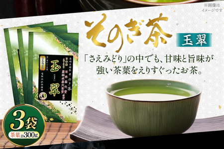 お茶 緑茶 そのぎ茶 玉翠 100g×3袋 [西海園(お茶の西海園) 長崎県 東彼杵町 hs42bag710006]