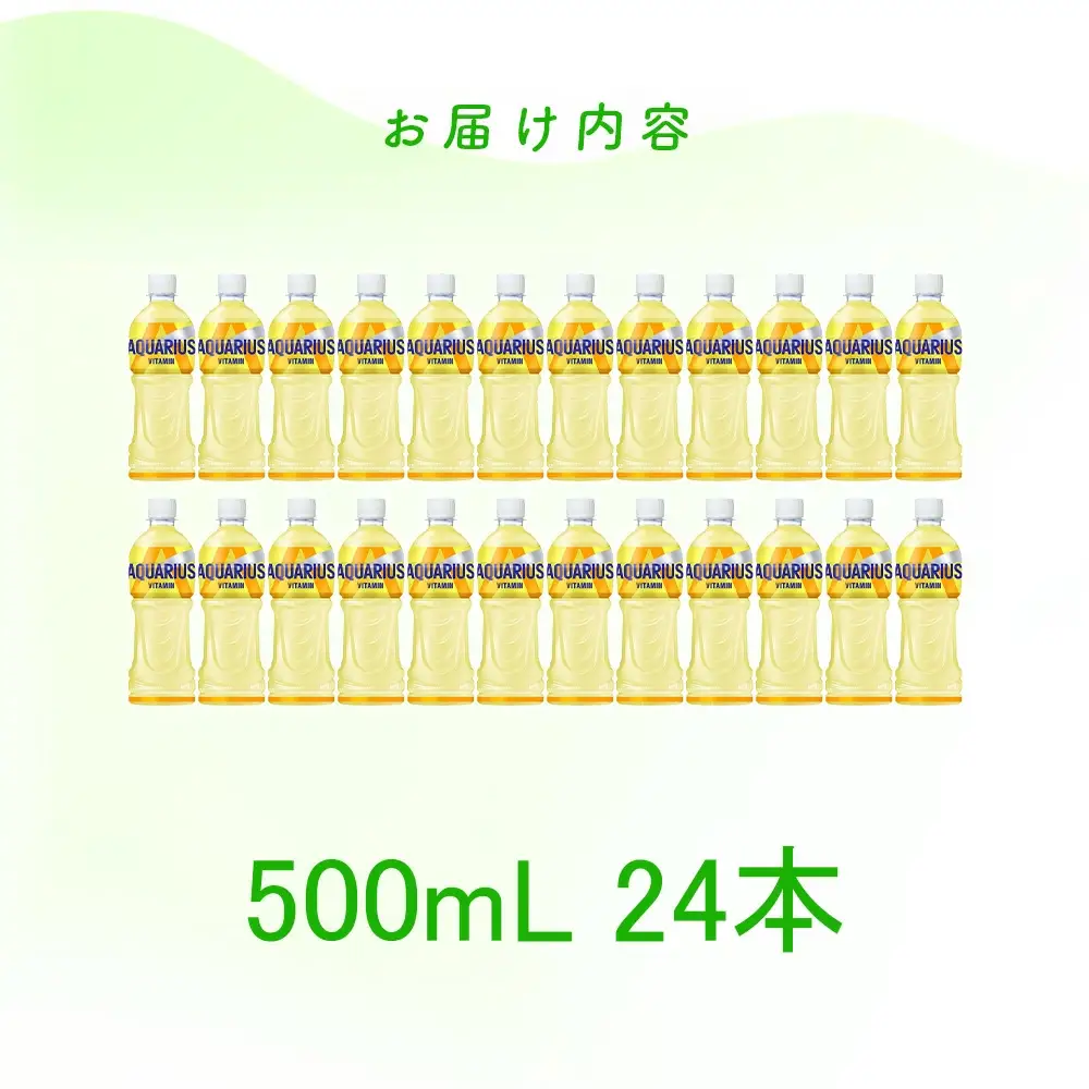 【2か月連続お届け】アクエリアス ビタミン　500ml PET×24本　【04301-0684】