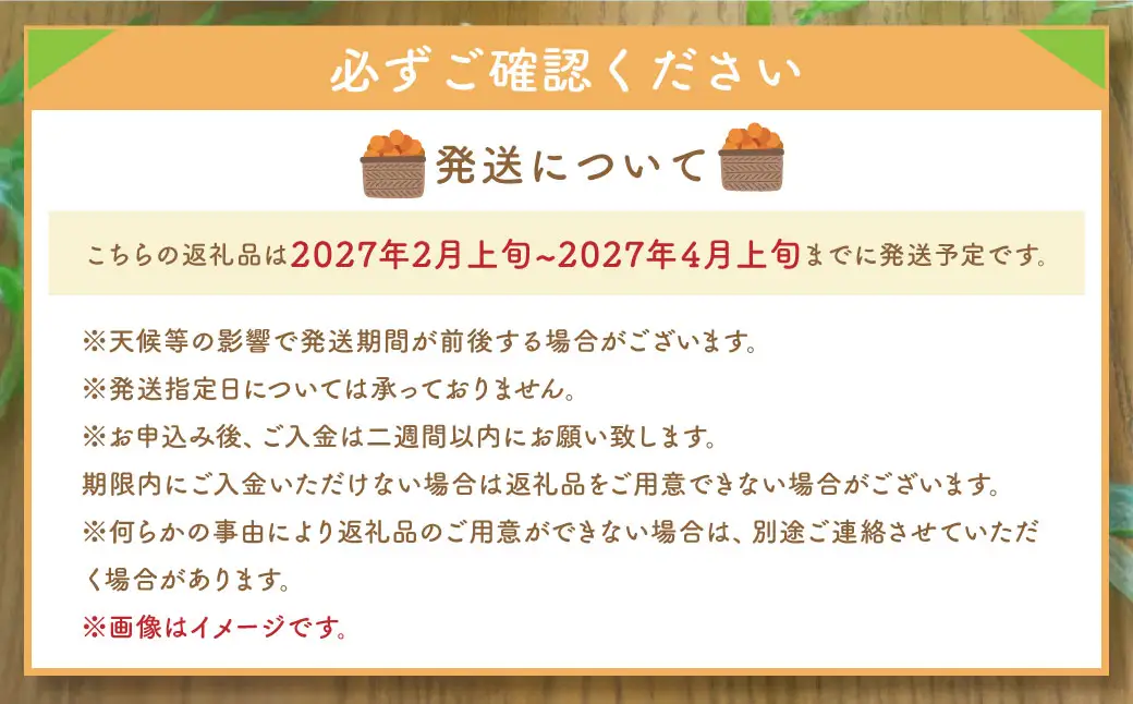 不知火（デコポンと同品種）【手選別まごころ選果】約5kg サイズ不選別 しらぬい 柑橘 くだもの 果物 フルーツ 【2027年2月上旬～4月上旬発送予定】