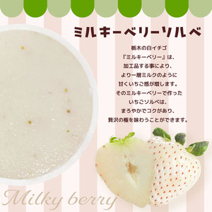 いちごジェラート(とちひめソルベ、とちあいかソルベ、ミルキーベリーソルベ)6個入り箱