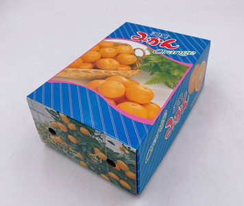ハウスみかん 秀品 1.0kg 化粧箱 みかん 【7月下旬から順次発送予定】 人気 数量限定 柑橘 愛媛 伊予市｜B426