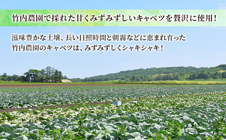 ボリューム満点 手作り冷凍餃子 15個（2～3人前）×1袋［錦華園］【 野菜 キャベツ たっぷり 厚い 手包み 手作り もちもち モチモチ 汁 町中華 中華 北海道 十勝 幕別 】