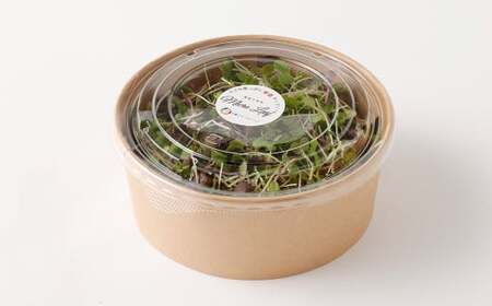 【2回定期便】 マイクロリーフミックス 1回あたり約140g（70g×2個）合計 約280g サラダ 野菜 大分県 九重町産 定期便