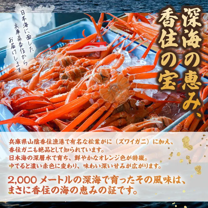 香住ガニ かにドリア 170g×2 かに カニ 11-24