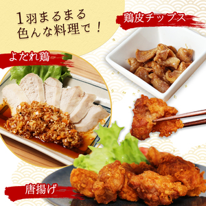 軍鶏 シャモ 新鮮軍鶏 奥丹波黒峰 1羽