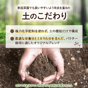 初心者も安心「並盛り」パクチー栽培キット／Fis-B05 パクチー 趣味 ガーデニング 家庭菜園 園芸 ベランダ菜園 プランター 種 種子 プロ仕様の肥料 培養土 トムヤムクン タイ料理