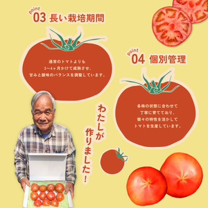 フルーツトマト「海部川のしずく」約1kg トマト とまと tomato