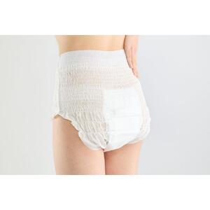 【22枚入り×4パック】大人用おむつリフィール　快適下着　超薄型パンツ　Ｌサイズ　２２枚入 NAD-L22-2