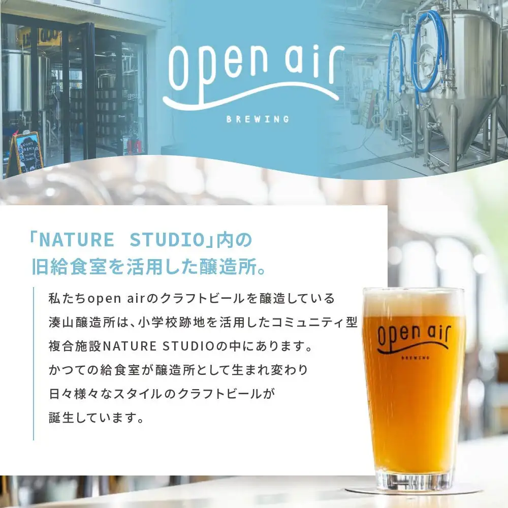 ｏｐｅｎ ａｉｒ クラフトビールおまかせ 12本セット