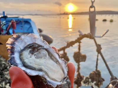 能登かきのオイル漬け（1瓶）｜ 石川県 七尾市 能登 牡蠣 カキ かき オイスター おつまみ おかず アヒージョ 復興 復興支援　※2025年9月より順次発送予定