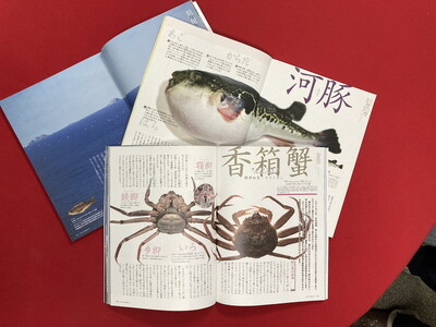 Fのさかなおもしろ図鑑vol.1（単品）