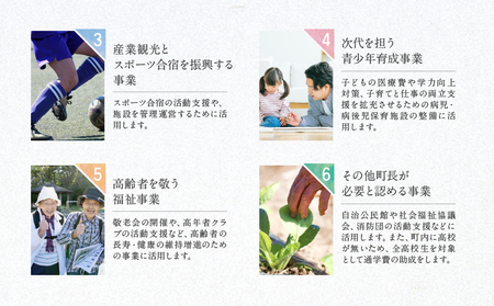 【返礼品なしの寄附】宮崎県綾町 寄附のみの応援受付 100,000円 応援寄附 寄付_0000-010