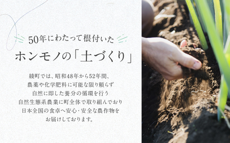 【返礼品なしの寄附】宮崎県綾町 ＜自然生態系農業に関する事業を応援＞ 10,000円 寄附のみ 応援寄附 寄付  返礼品なし 返礼品ナシ_0000-013